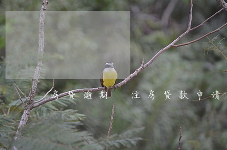 房贷逾期 住房贷款申请